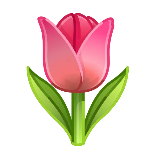 Tulip